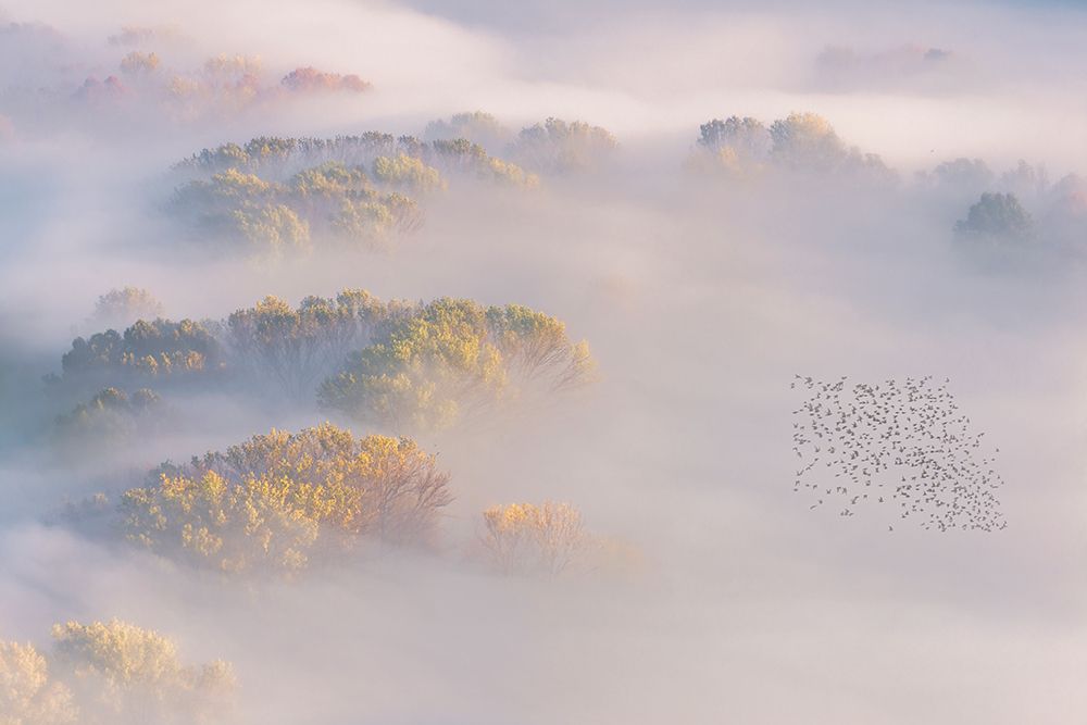 Similar wall art painting: 612839