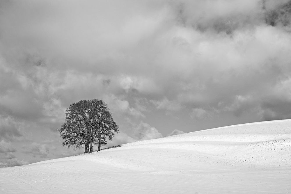 Wall Art Painting id:500035, Name: A cloudy winter day, Artist: Peter Rank, Hans