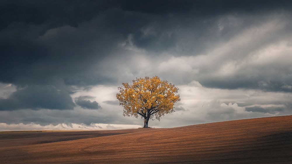 Similar wall art painting: 500377