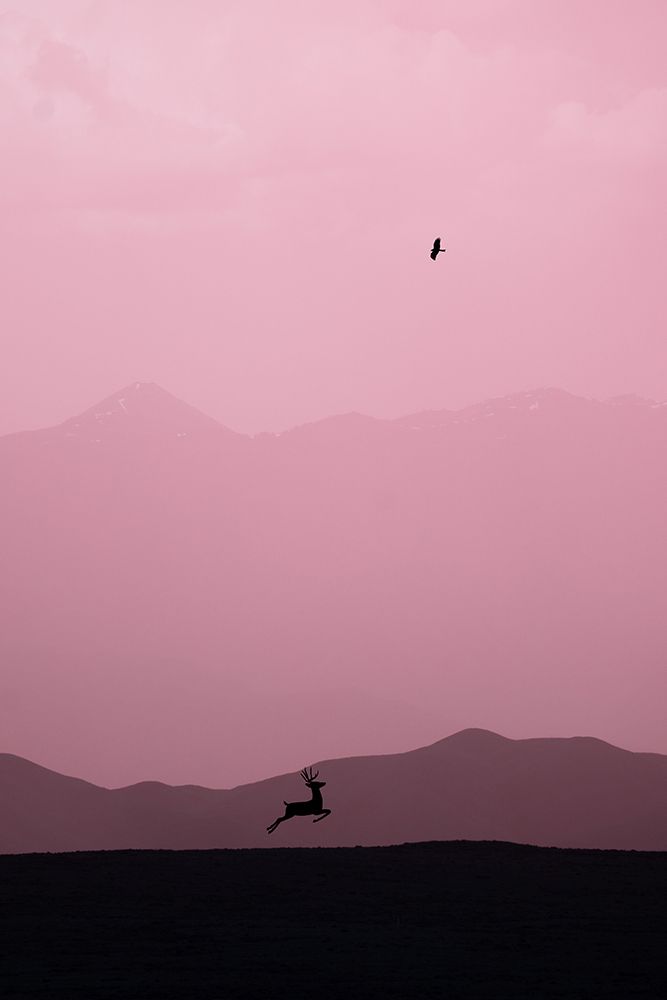 Similar wall art painting: 500549