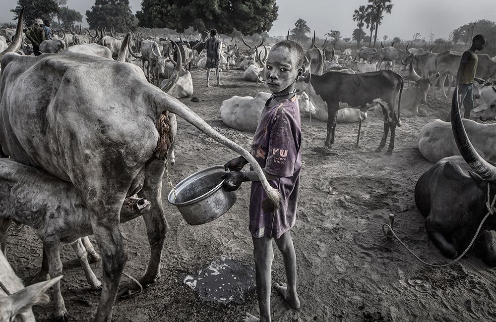 Wall Art Painting id:507953, Name: Mundari Child Filling The Container With Cow Urine - South Sudan, Artist: Inazio Kuesta, Joxe