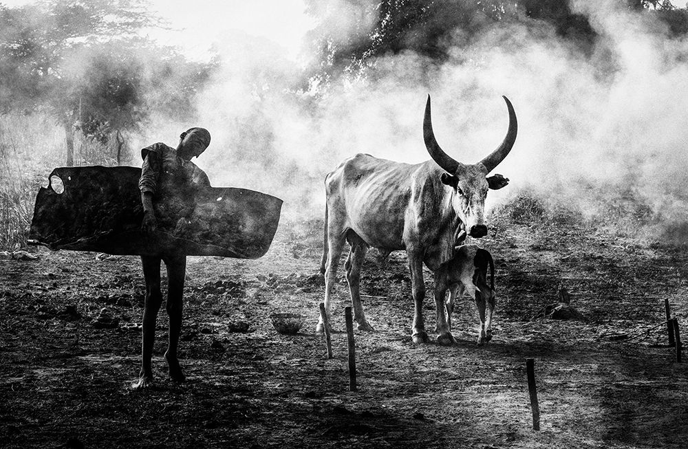 Wall Art Painting id:508573, Name: Mundari Chlid Carrying Dung - South Sudan, Artist: Inazio Kuesta, Joxe