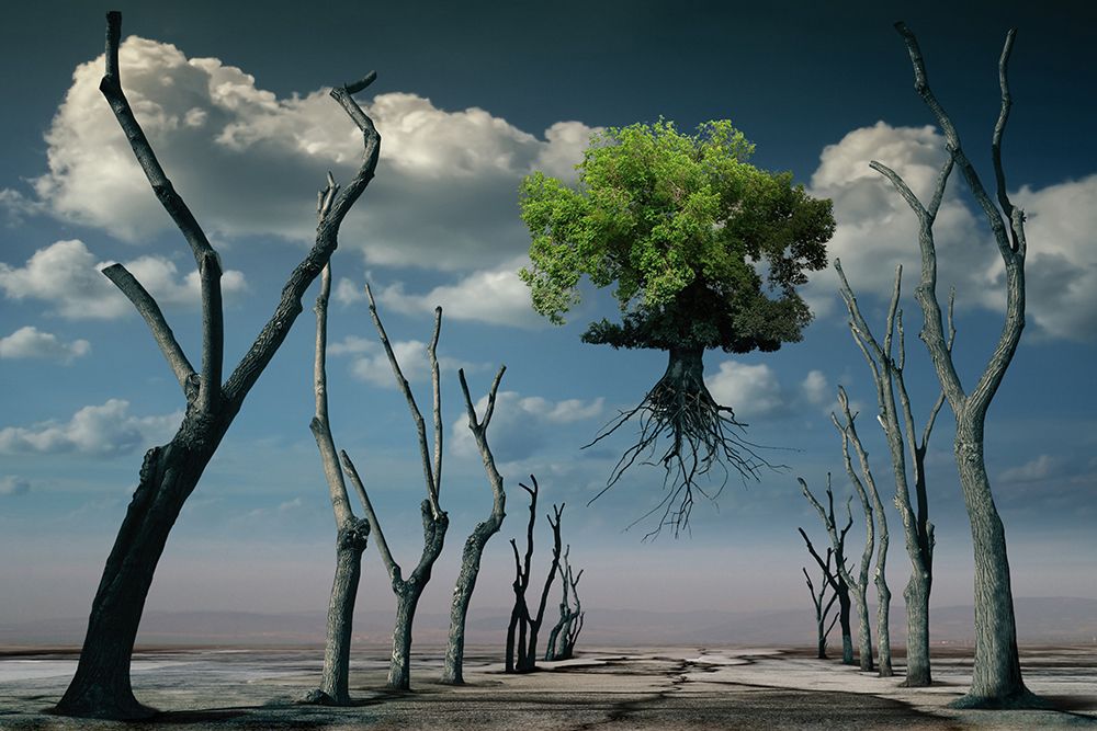 Similar wall art painting: 508777