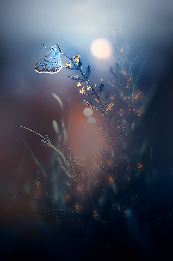 Similar wall art painting: 706880