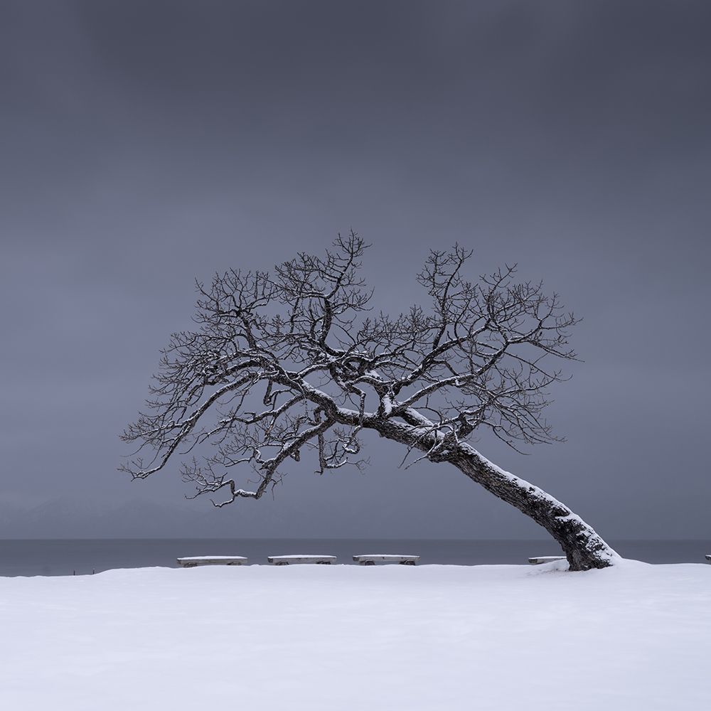 Similar wall art painting: 614550