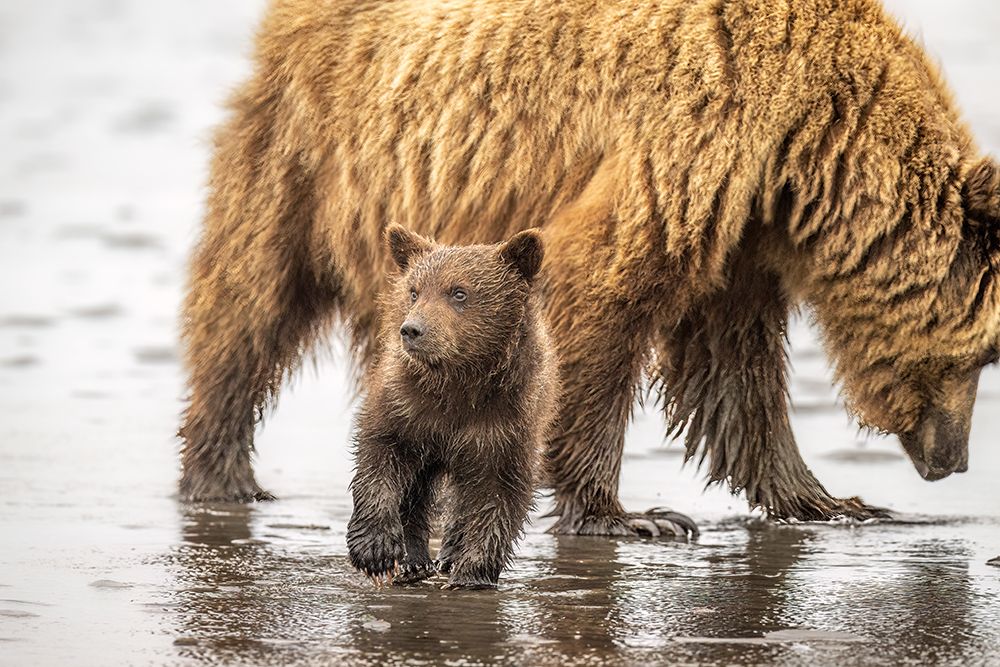 Similar wall art painting: 614984