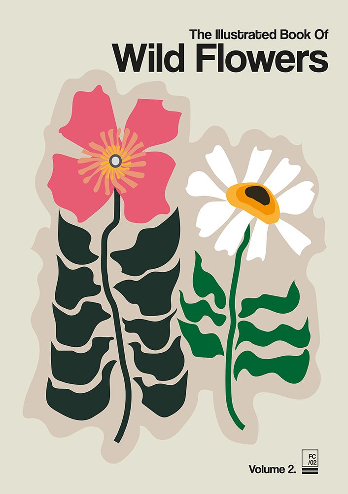 Wall Art Painting id:565554, Name: The Illustrated Book Of Wild Flowers Vol.2 Grey, Artist: Collett, Frances