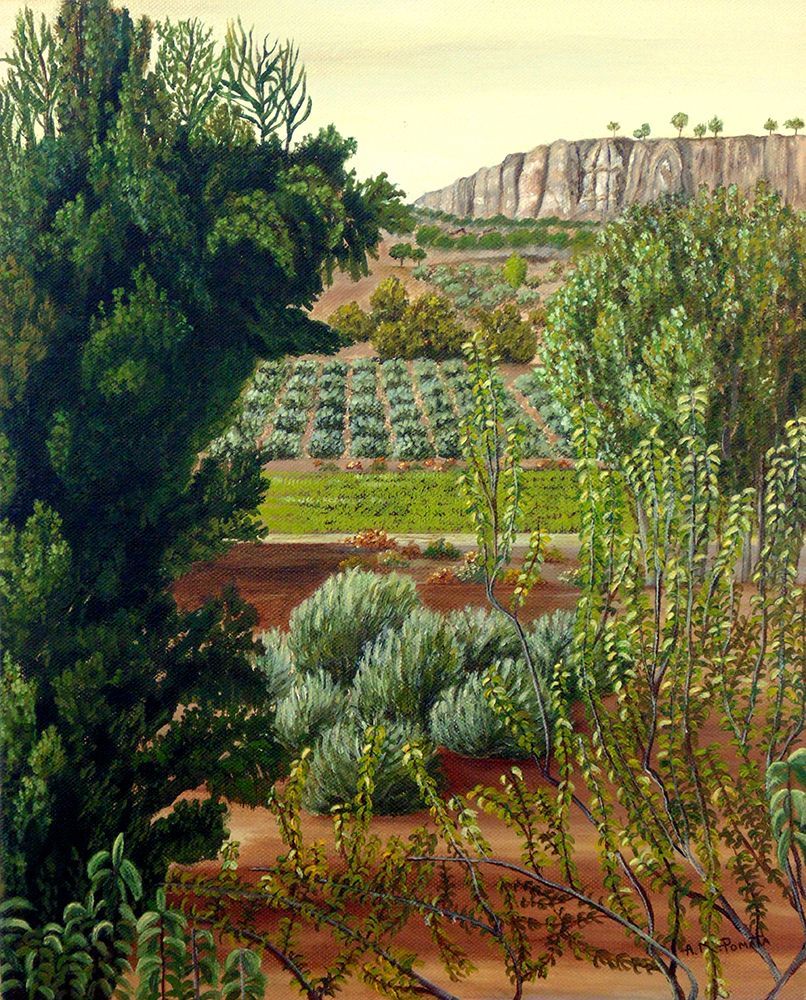 Wall Art Painting id:594153, Name: High Mountain Olive Trees, Artist: Pomata, Angeles M.