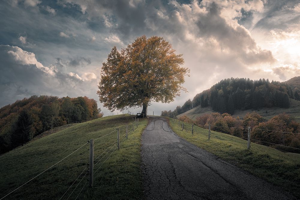 Similar wall art painting: 642046