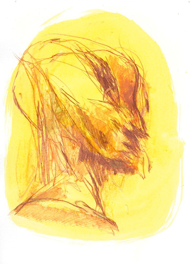 Similar wall art painting: 665374