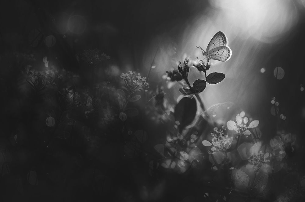 Similar wall art painting: 707447