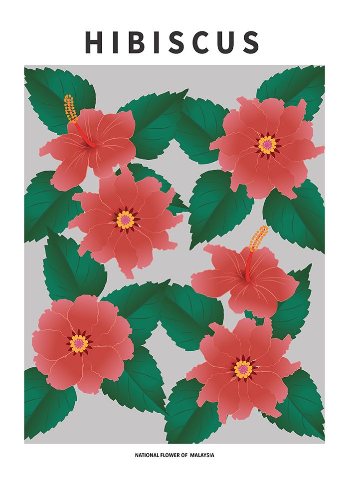 Wall Art Painting id:669573, Name: Hibiscus - National flower of Malaysia, Artist: Paperago