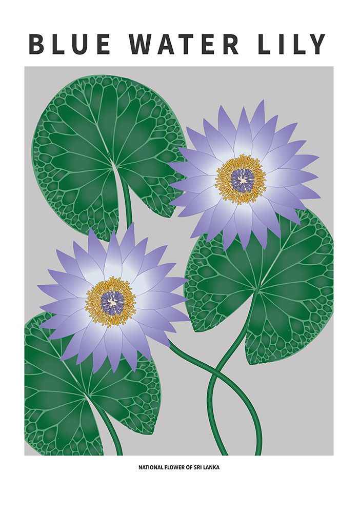 Wall Art Painting id:669574, Name: Blue Water Lily - National flower of Sri Lanka, Artist: Paperago