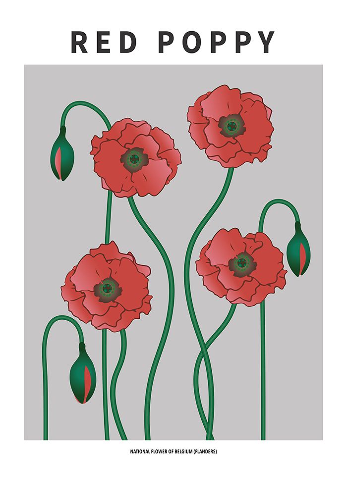 Wall Art Painting id:669577, Name: Red Poppy - National flower of Belgium, Artist: Paperago