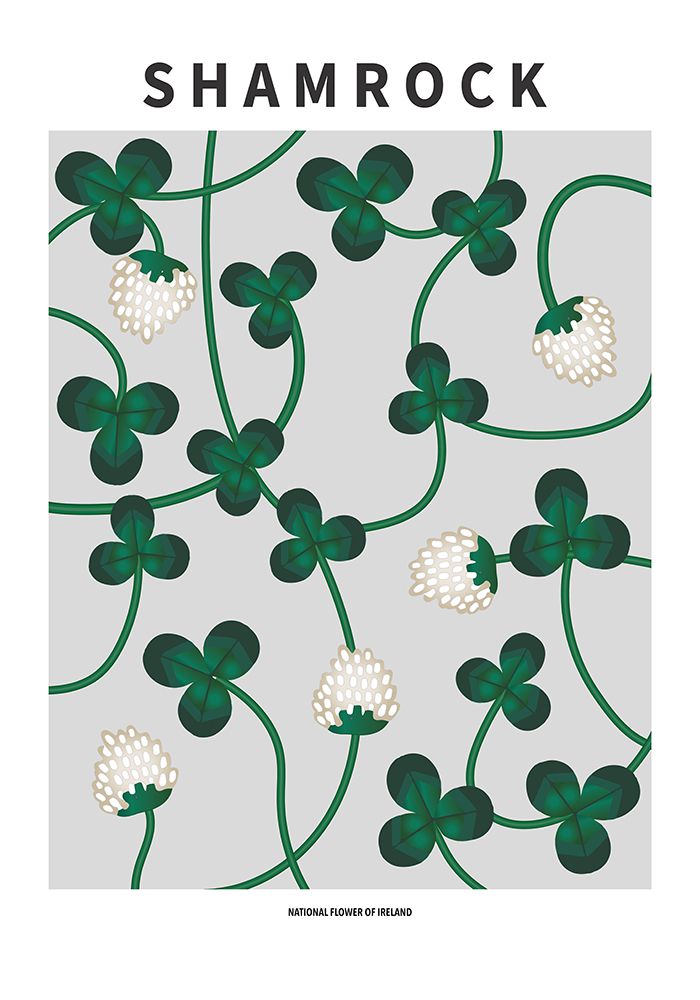 Wall Art Painting id:669579, Name: Shamrock - National flower of Ireland, Artist: Paperago