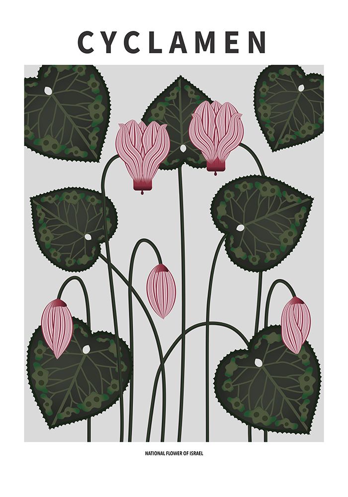 Wall Art Painting id:669580, Name: Cyclamen - National flower of Israel, Artist: Paperago