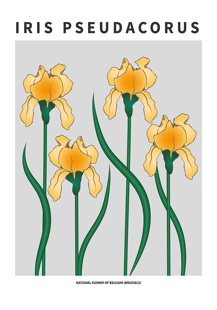 Wall Art Painting id:669584, Name: Iris  - National flower of Belgium, Artist: Paperago