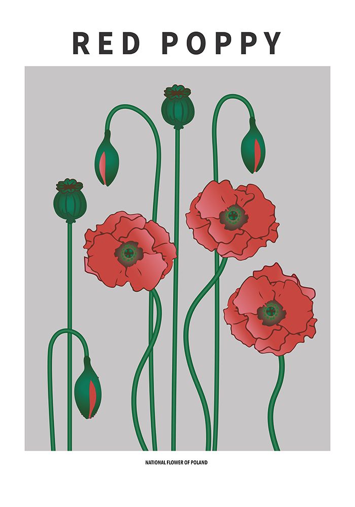 Wall Art Painting id:669586, Name: Red Poppy - National flower of Poland, Artist: Paperago