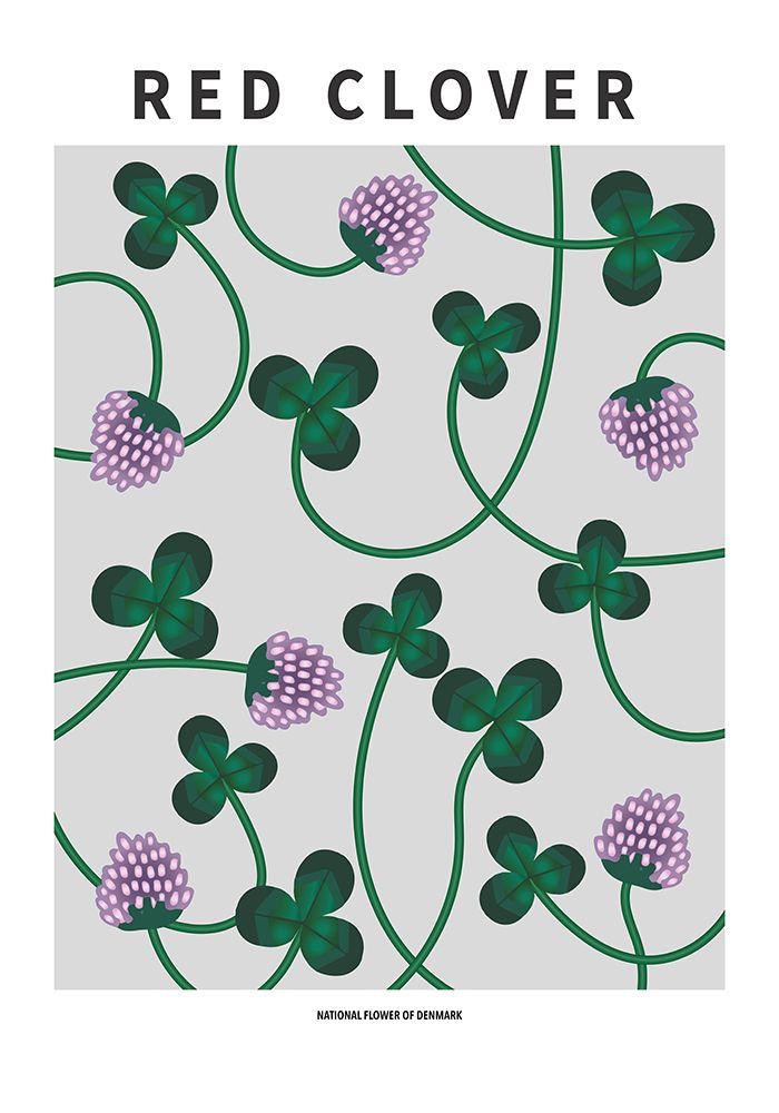 Wall Art Painting id:669588, Name: Red Clover - National flower of Denmark, Artist: Paperago