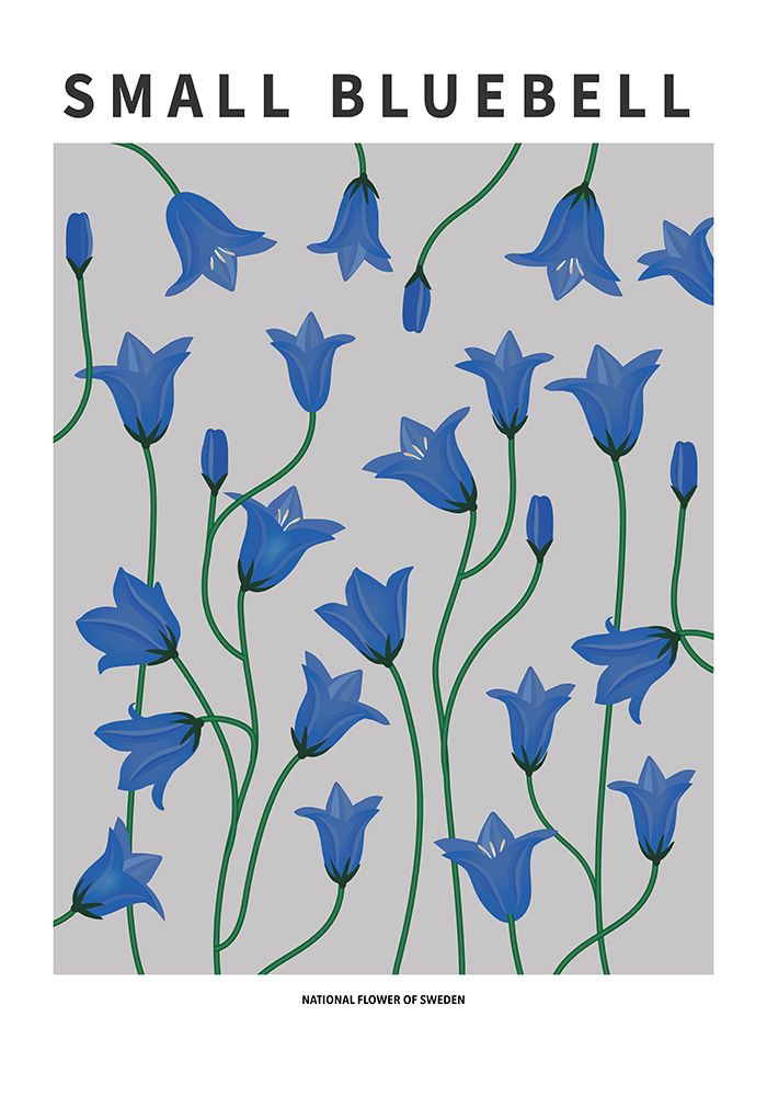 Wall Art Painting id:669589, Name: Small Bluebell - National flower of Sweden, Artist: Paperago