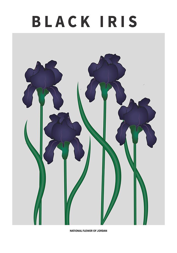 Wall Art Painting id:669593, Name: Black Iris - National flower of Jordan, Artist: Paperago