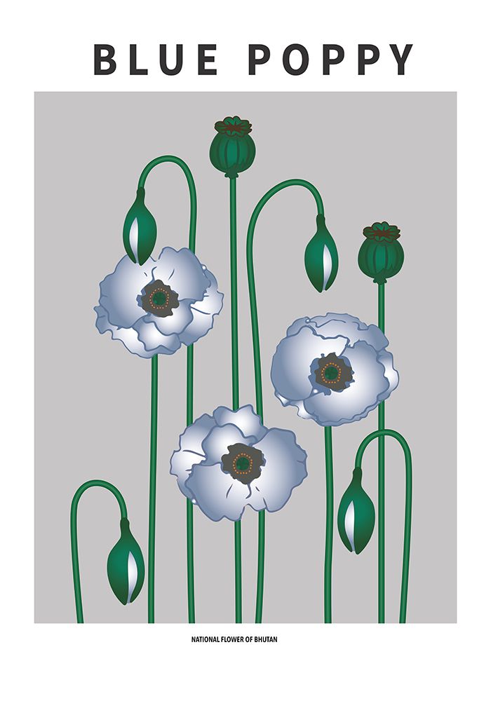 Wall Art Painting id:669594, Name: Blue Poppy - National flower of  Bhutan, Artist: Paperago