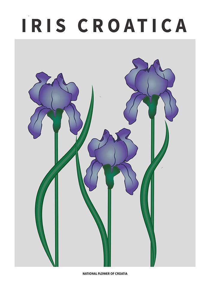 Wall Art Painting id:669596, Name: Iris Croatica - National flower of Croatia, Artist: Paperago