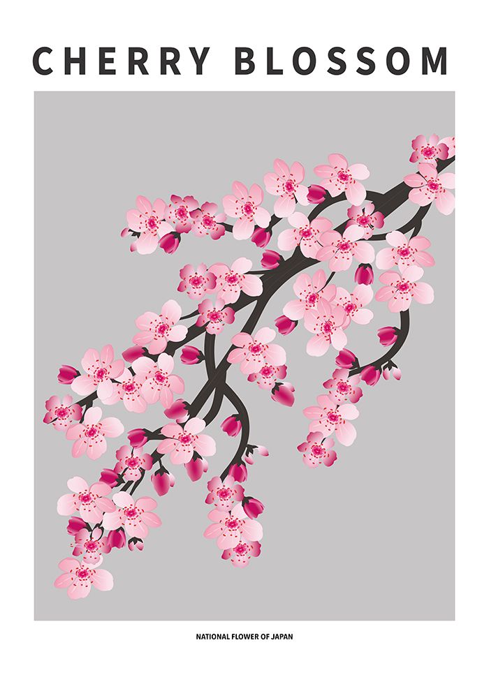 Wall Art Painting id:669597, Name: Cherry blossom - National flower of Japan, Artist: Paperago