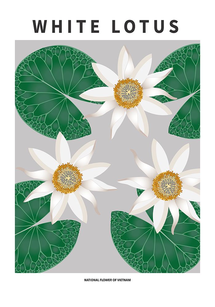 Wall Art Painting id:669599, Name: White Lotus - National flower of Vietnam, Artist: Paperago