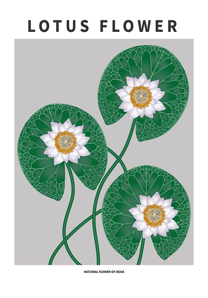 Wall Art Painting id:669602, Name: Lotus flower - National flower of  India, Artist: Paperago