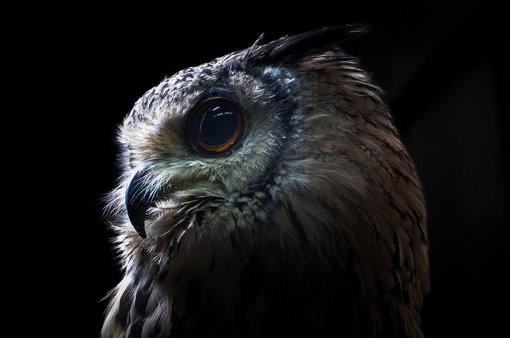 Similar wall art painting: 709413