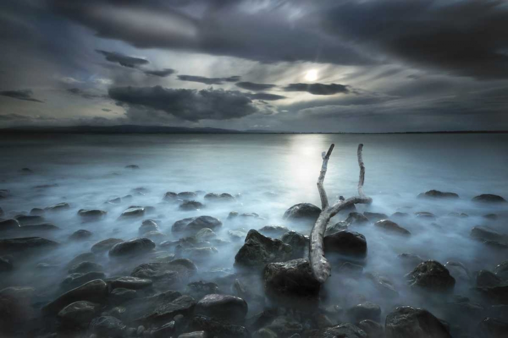 Wall Art Painting id:100440, Name: Moonland, Artist: Marcisovsky, Martin