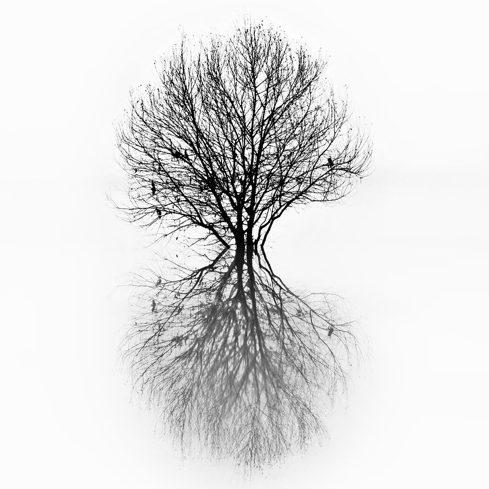 Similar wall art painting: 471001