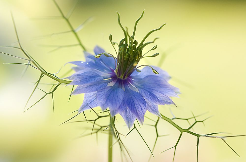 Similar wall art painting: 100568