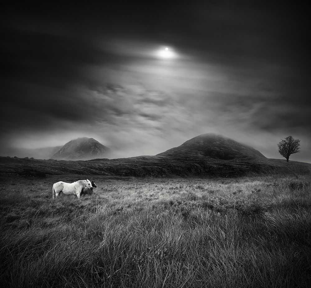 Wall Art Painting id:585517, Name: Strange Place To Be, Artist: Marcisovsky, Martin