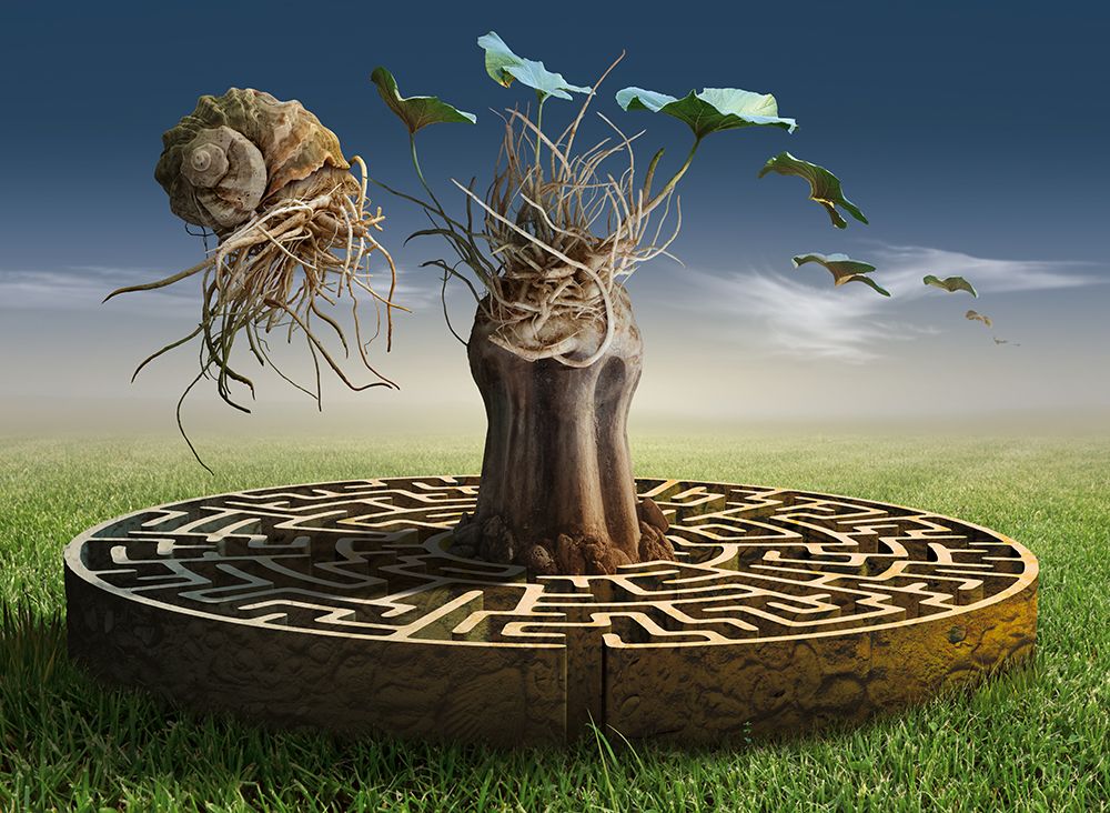 Similar wall art painting: 471452