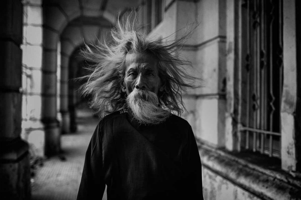 Wall Art Painting id:101373, Name: That Summer The Wind Blows, Artist: Hardibudi