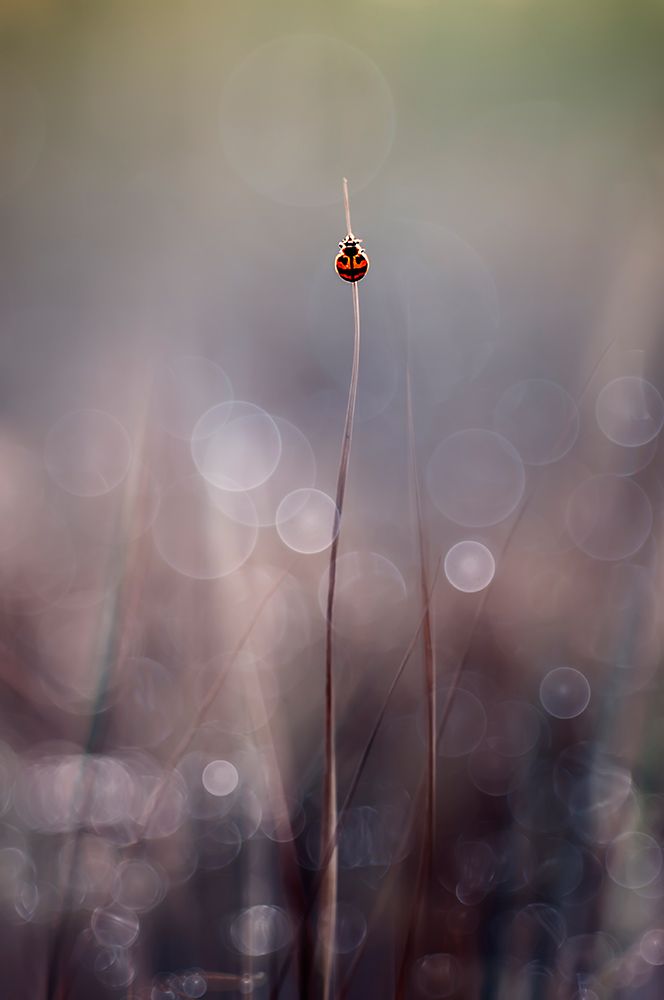 Similar wall art painting: 695127