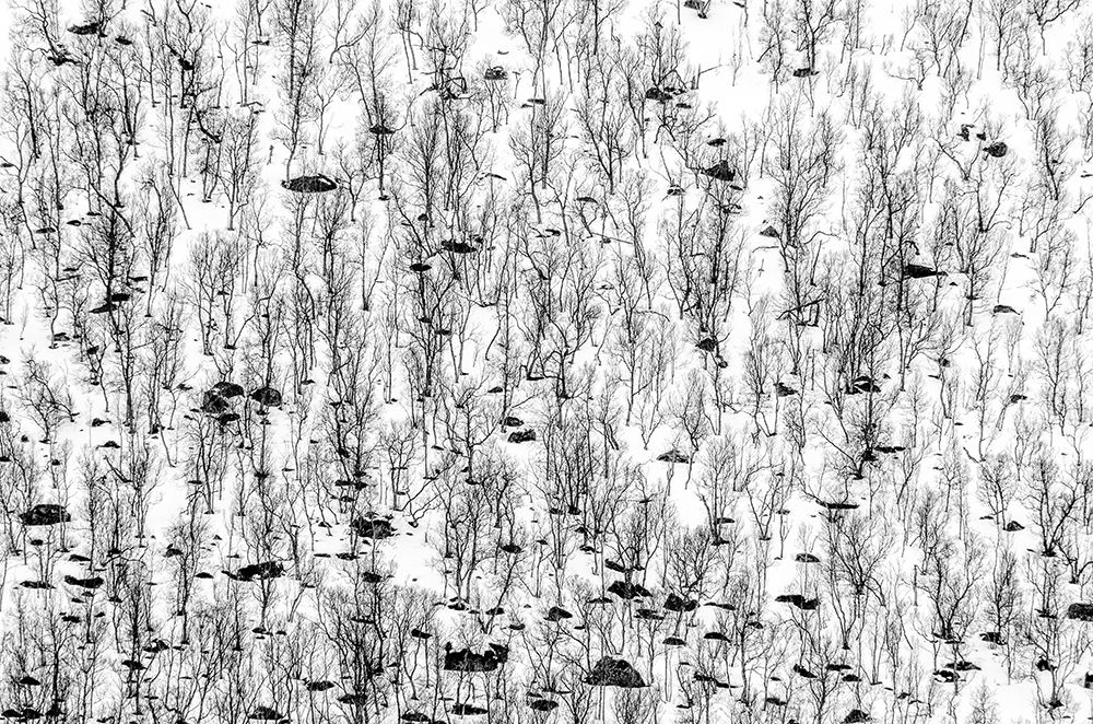 Similar wall art painting: 472478