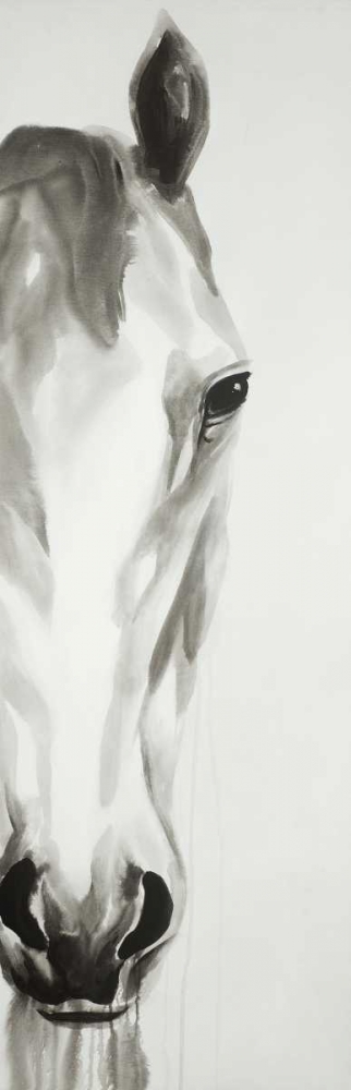 Wall Art Painting id:150832, Name: Black and White Horse Face, Artist: Atelier B Art Studio
