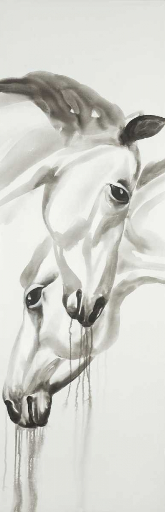Wall Art Painting id:150833, Name: Black and White Horses, Artist: Atelier B Art Studio