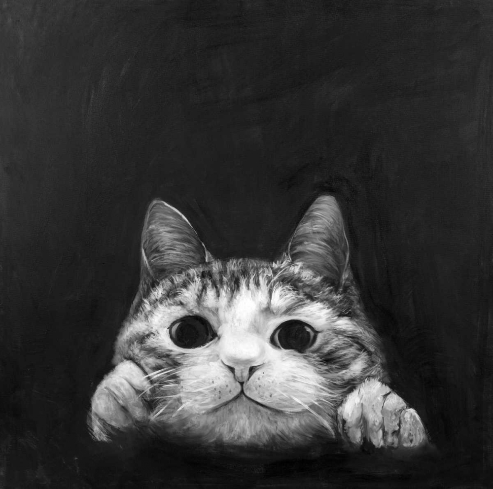 Wall Art Painting id:150843, Name: Curious Cat, Artist: Atelier B Art Studio