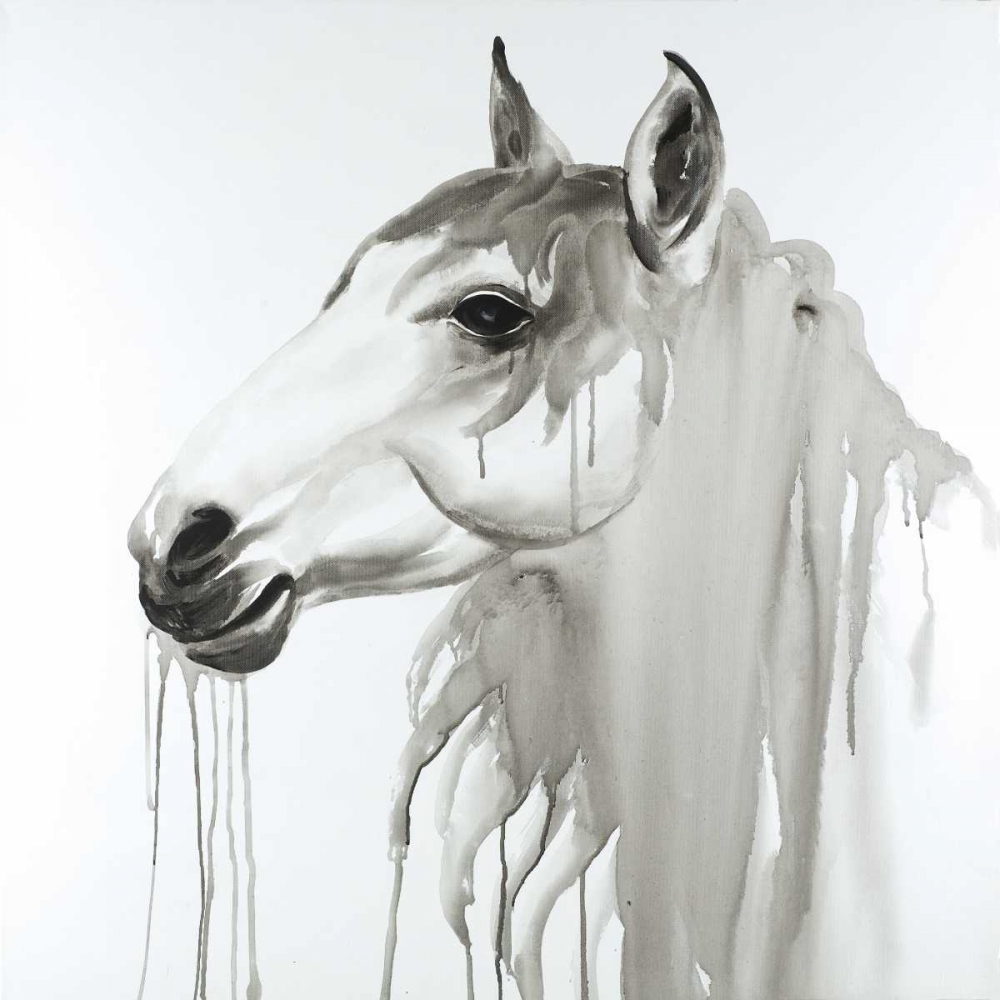 Wall Art Painting id:163004, Name: Beautiful White Horse, Artist: Atelier B Art Studio