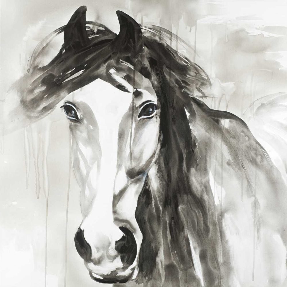 Wall Art Painting id:163006, Name: Beautiful Wild Horse, Artist: Atelier B Art Studio