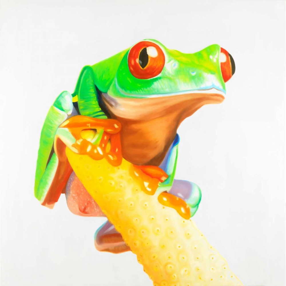 Wall Art Painting id:174662, Name: Curious Red-eyed Frog, Artist: Atelier B Art Studio