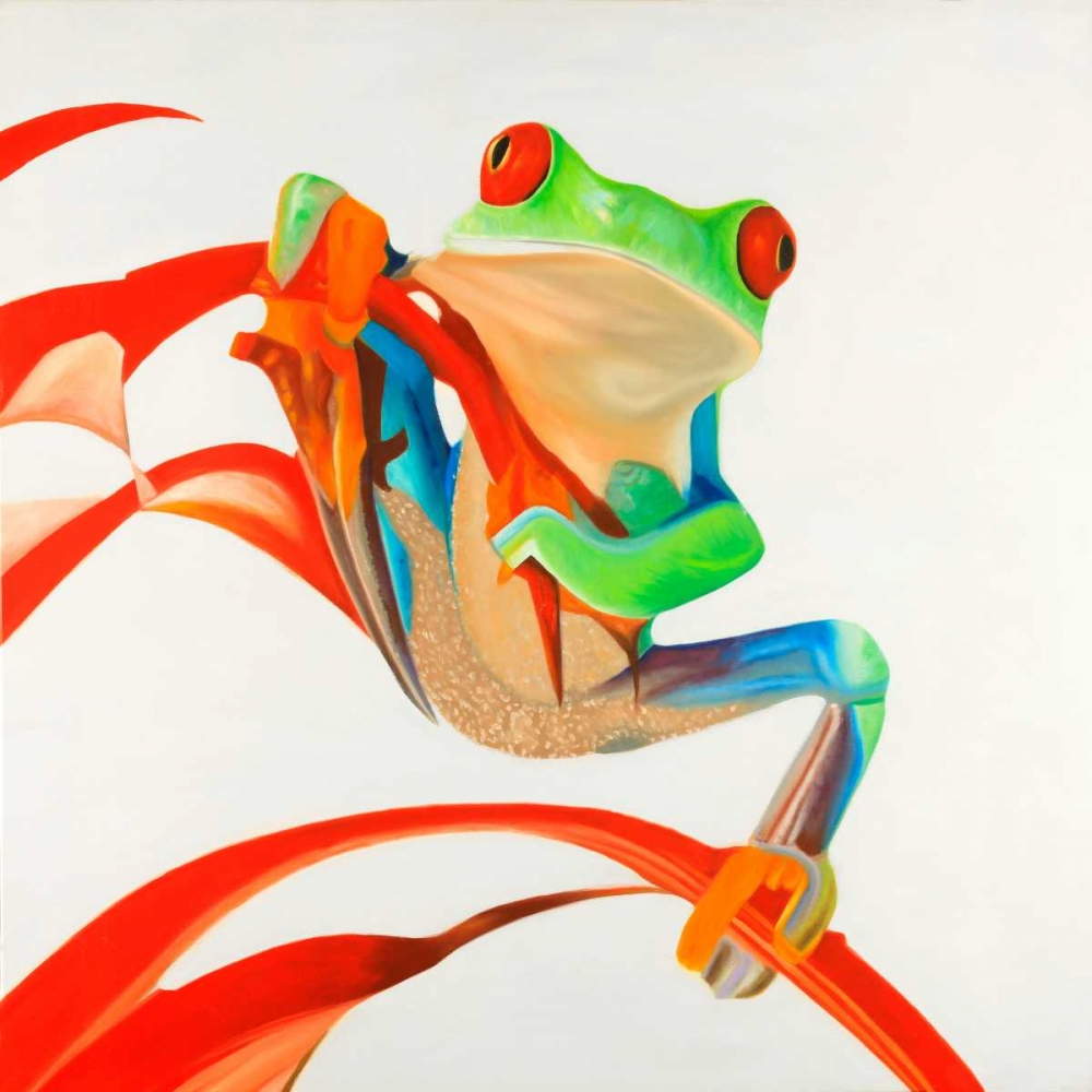 Wall Art Painting id:174663, Name: Red-eyed Frog, Artist: Atelier B Art Studio