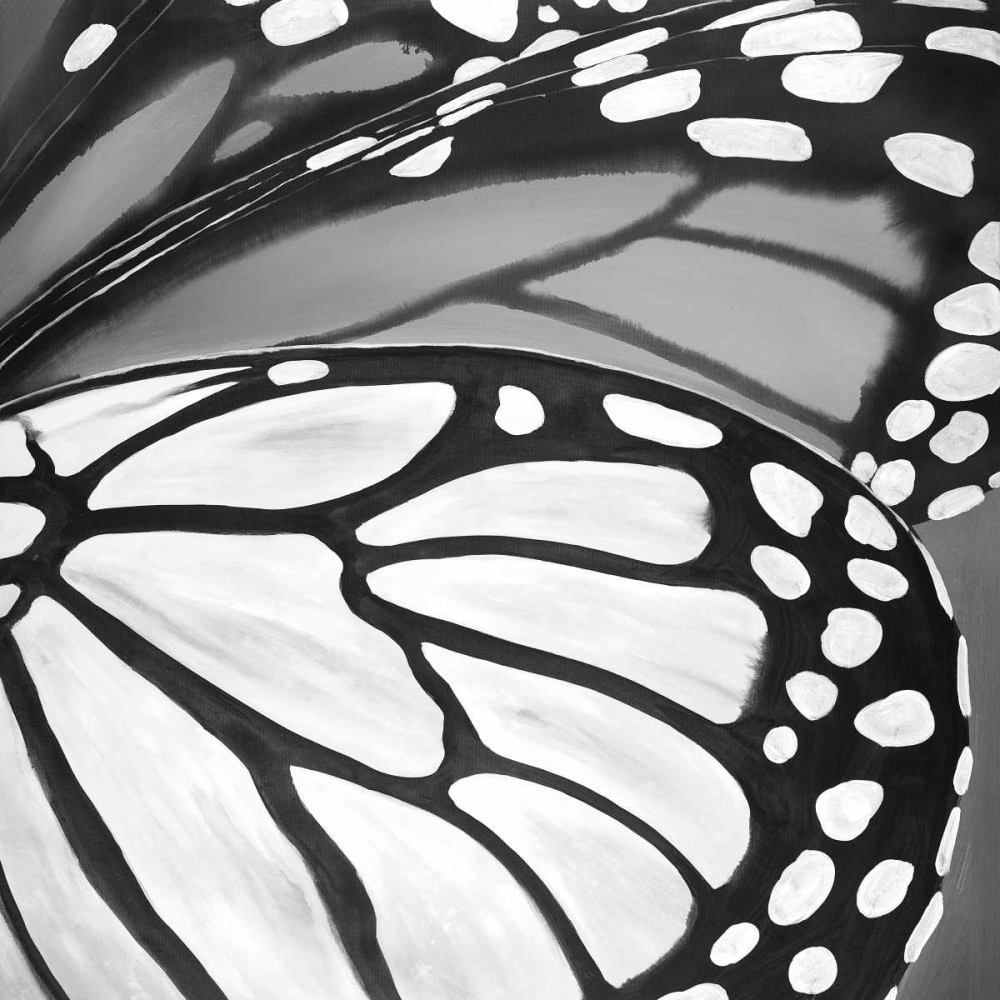 Art Print: Black and White Monarch
