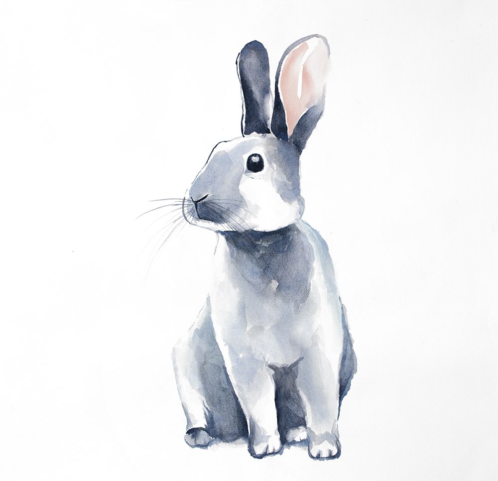Wall Art Painting id:193986, Name: Curious Rex Rabbit, Artist: Atelier B Art Studio