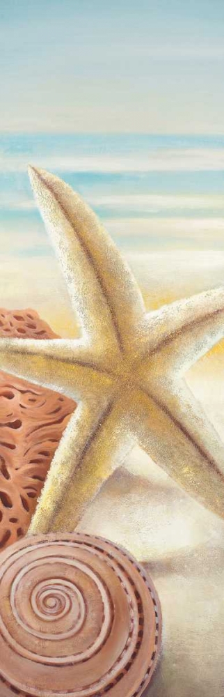 Wall Art Painting id:150933, Name: Starfish and Seashells at the Beach, Artist: Atelier B Art Studio