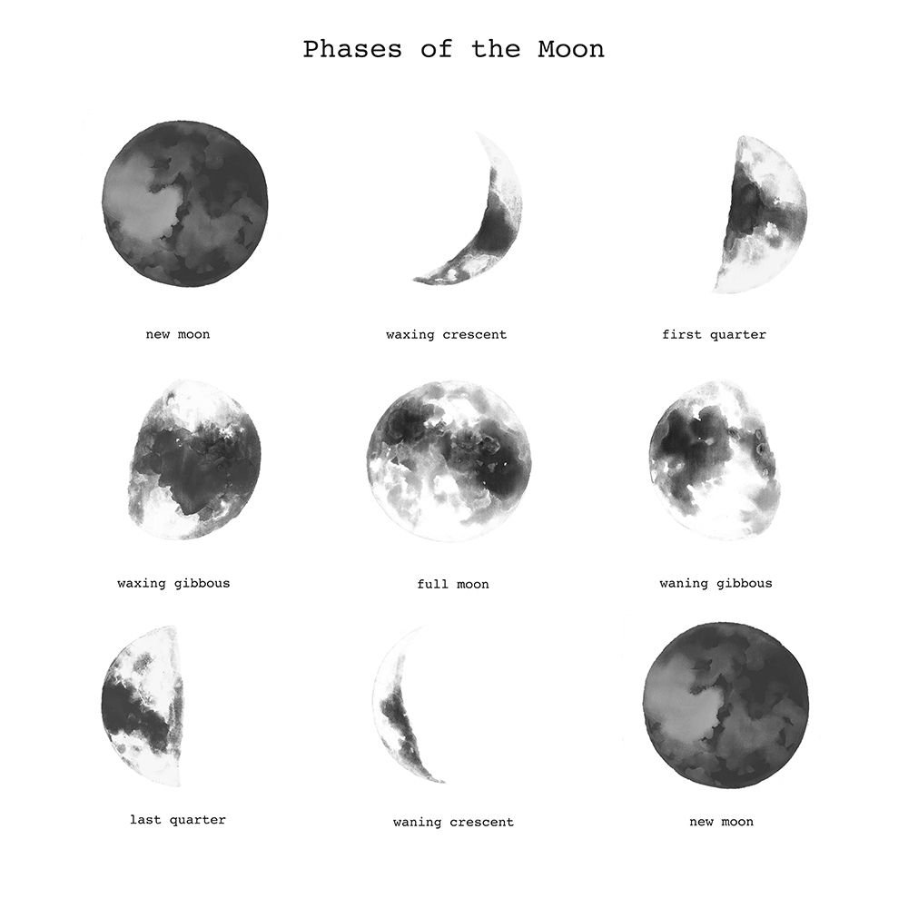 Wall Art Painting id:231936, Name: PHASES OF THE MOON, Artist: Atelier B Art Studio